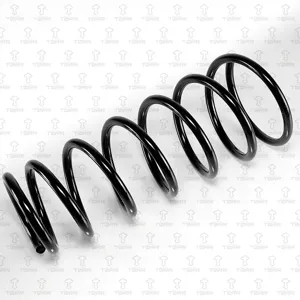 TORR DF0238 Пружина задняя