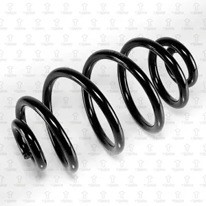 TORR DF0241 Пружина задняя