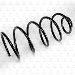 TORR DF0242 Пружина передняя