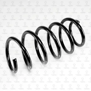 TORR DF0243 Пружина передняя