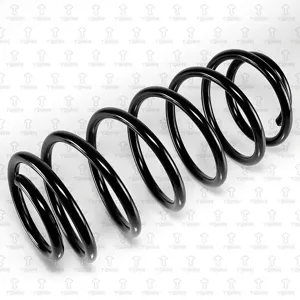 TORR DF0244 Пружина передняя