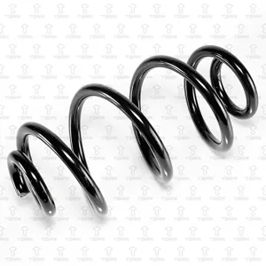 TORR DF0256 Пружина задняя