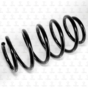 TORR DF0257 Пружина передняя