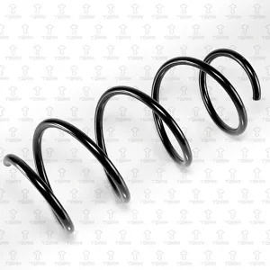 TORR DF0264 Пружина передняя