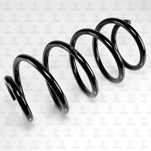 TORR DF0266 Пружина передняя