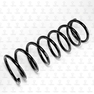 TORR DF0267 Пружина задняя