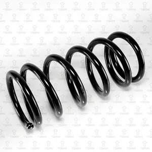 TORR DF0268 Пружина задняя