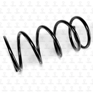 TORR DF0274 Пружина передняя