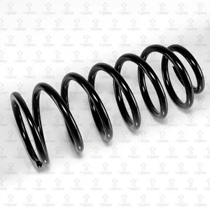 TORR DF0277 Пружина задняя