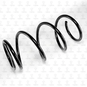 TORR DF0278 Пружина передняя