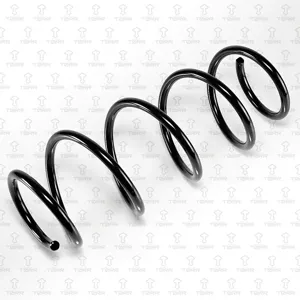 TORR DF0280 Пружина передняя