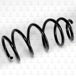 TORR DF0283 Пружина передняя