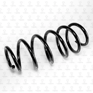 TORR DF0288 Пружина передняя