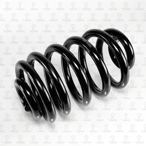 TORR DF0292 Пружина задняя