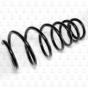 TORR DF0295 Пружина задняя