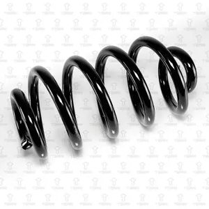 TORR DF0300 Пружина задняя