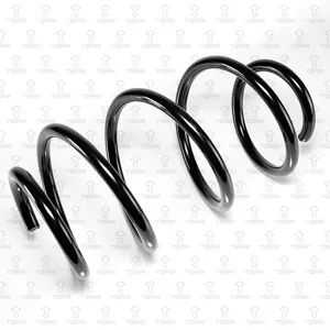 TORR DF0303 Пружина передняя