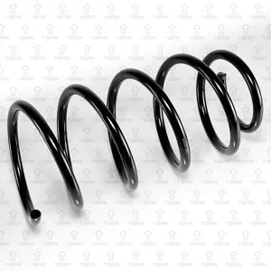 TORR DF0305 Пружина задняя