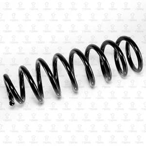 TORR DF0314 Пружина задняя