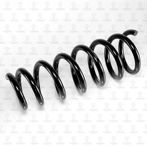 TORR DF0315 Пружина передняя