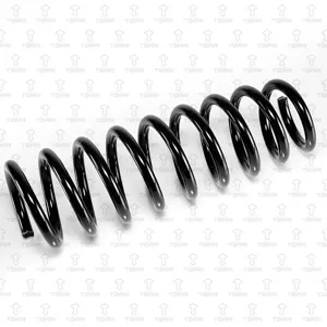 TORR DF0316 Пружина задняя