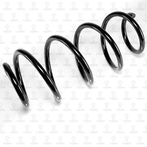 TORR DF0318 Пружина передняя