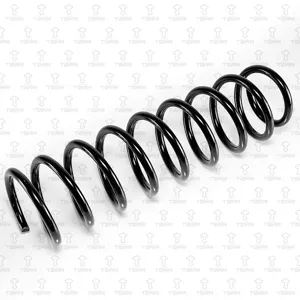 TORR DF0319 Пружина задняя