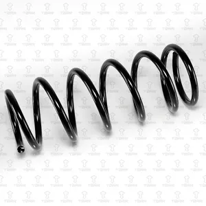 TORR DF0321 Пружина задняя