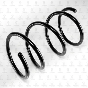 TORR DF0323 Пружина передняя