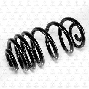 TORR DF0327 Пружина задняя