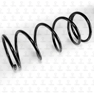 TORR DF0329 Пружина задняя