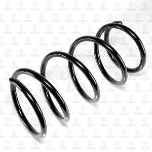 TORR DF0331 Пружина задняя