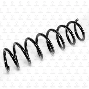 TORR DF0332 Пружина задняя