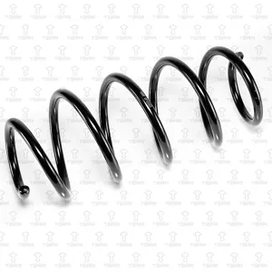 TORR DF0333 Пружина передняя