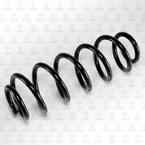 TORR DF0335 Пружина задняя