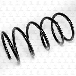 TORR DF0339 Пружина передняя