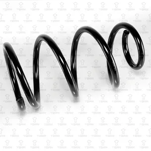 TORR DF0343 Пружина передняя