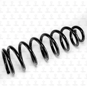 TORR DF0348 Пружина передняя