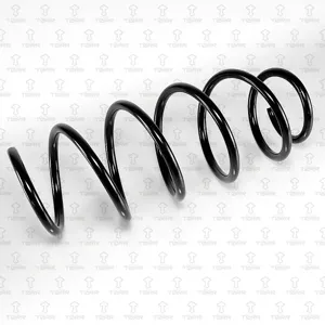 TORR DF0349 Пружина передняя