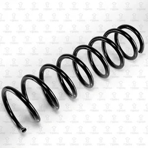 TORR DF0350 Пружина задняя