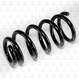 TORR DF0351 Пружина задняя