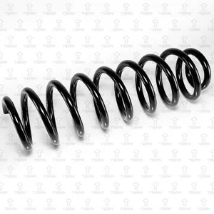 TORR DF0353 Пружина задняя