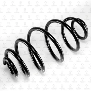 TORR DF0357 Пружина задняя