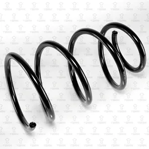 TORR DF0358 Пружина передняя