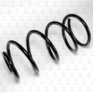 TORR DF0361 Пружина передняя