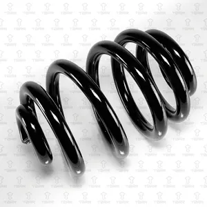 TORR DF0363 Пружина задняя