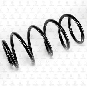 TORR DF0365 Пружина передняя