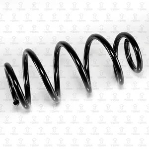 TORR DF0368 Пружина передняя