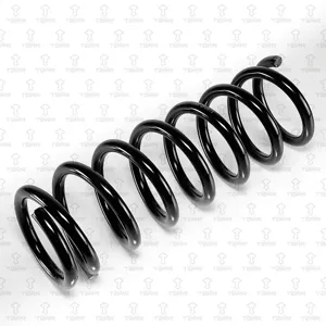 TORR DF0371 Пружина задняя