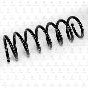 TORR DF0372 Пружина задняя